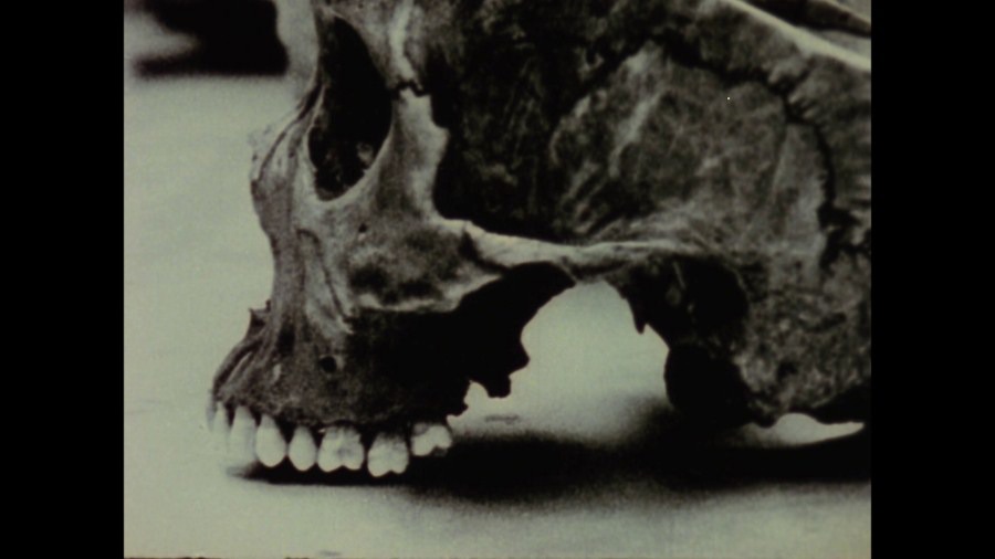 Screen capture from A Hollis Frampton Odyssey