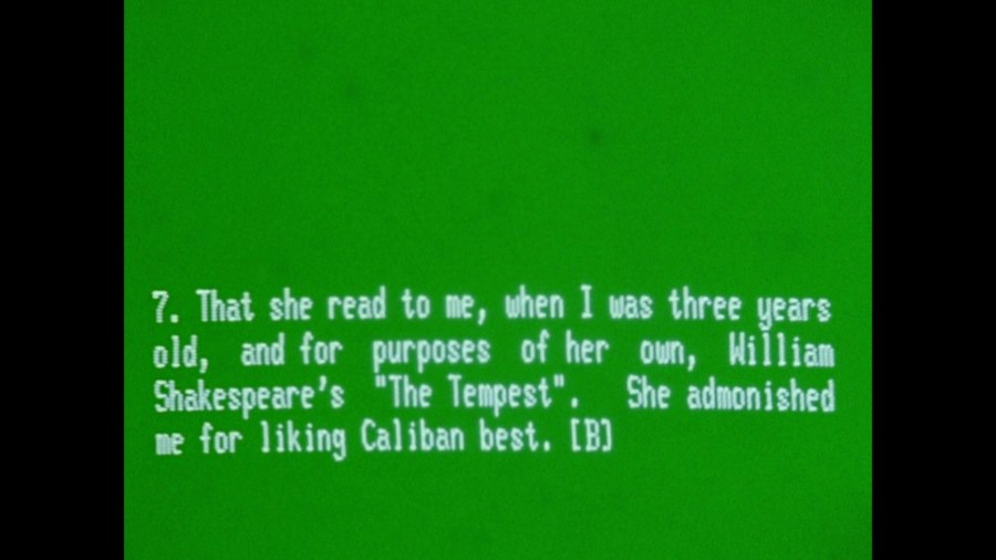 Screen capture from A Hollis Frampton Odyssey