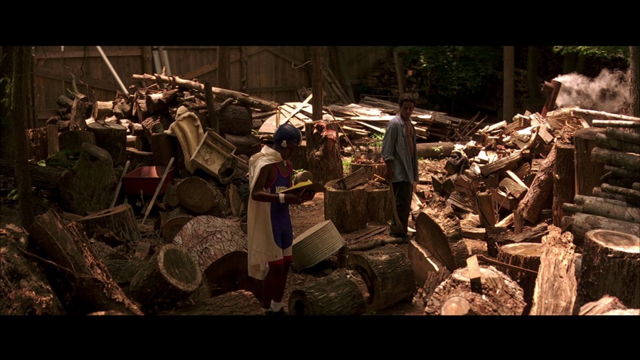 Screen capture from George Washington