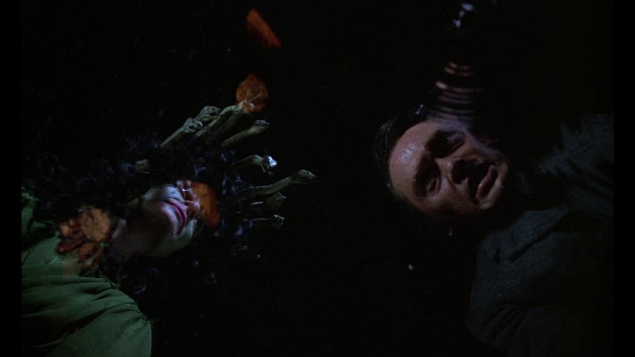 Screen capture from The Gorgon