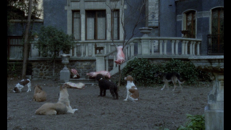 Screen capture from La Grande bouffe