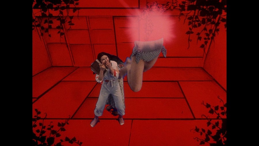 Screen capture from House
