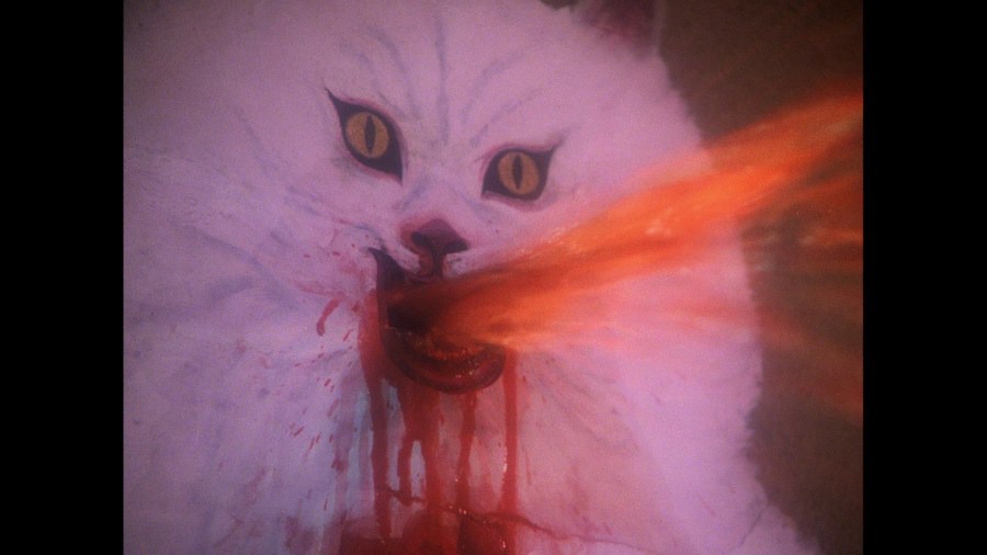 Screen capture from House