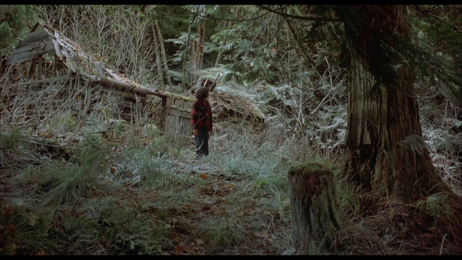 Screen capture from Housekeeping