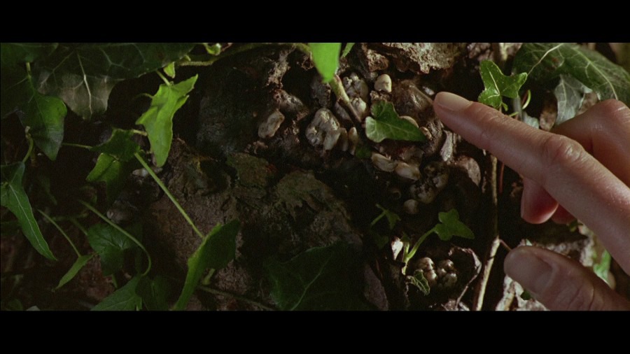 Screen capture from Howards End
