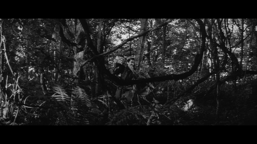 Screen capture from The Human Condition Trilogy