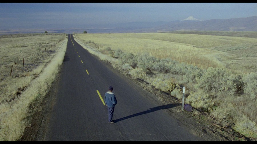 Screen capture from My Own Private Idaho