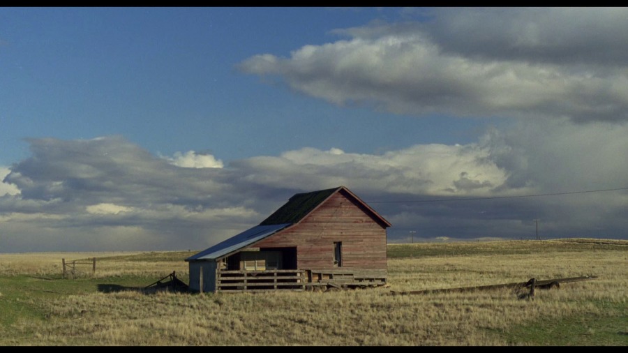Screen capture from My Own Private Idaho