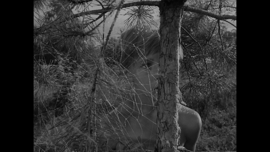 Screen capture from Ivan’s Childhood