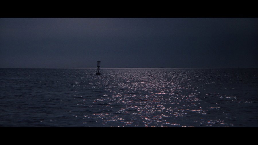 Screen capture from Jaws