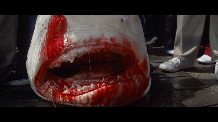 Screen capture from Jaws