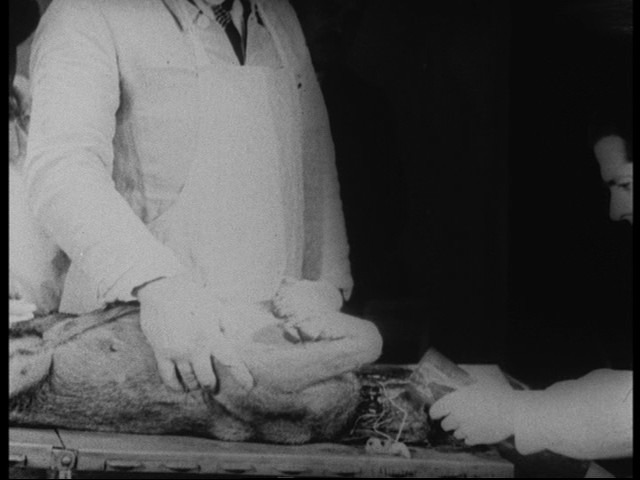 Screen capture from Science Is Fiction: 23 Films by Jean Painlevé