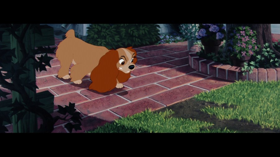 Screen capture from Lady and the Tramp