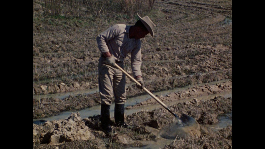 Screen capture from Les Blank: Always for Pleasure