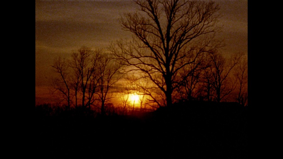 Screen capture from Les Blank: Always for Pleasure