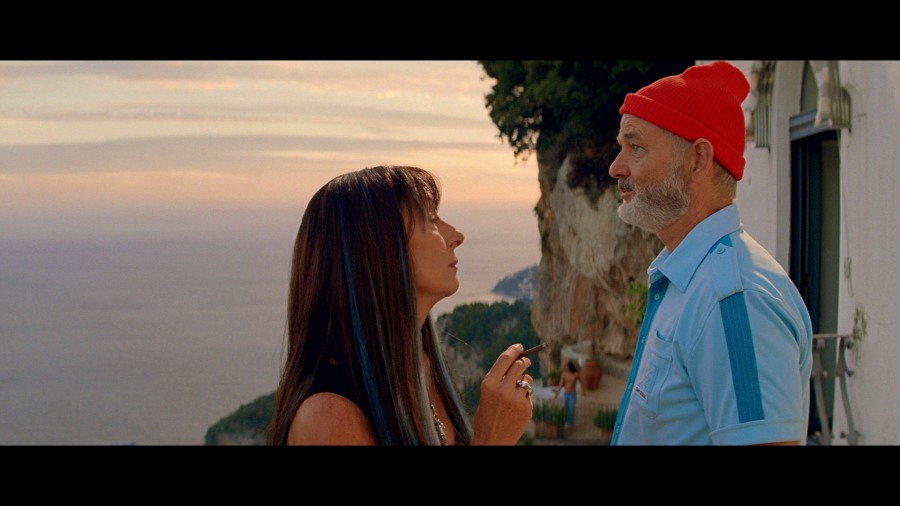 Screen capture from The Life Aquatic with Steve Zissou
