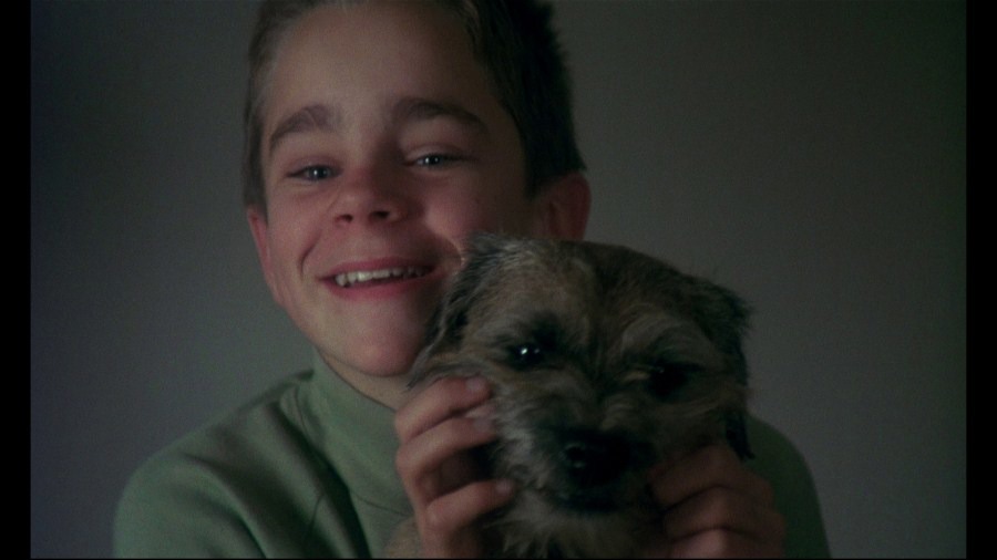 Screen capture from My Life as a Dog