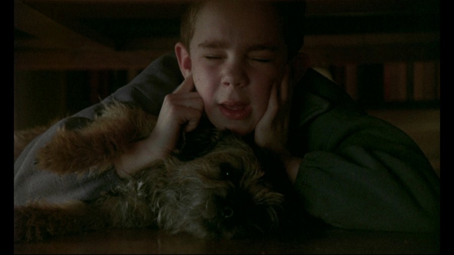 Screen capture from My Life as a Dog