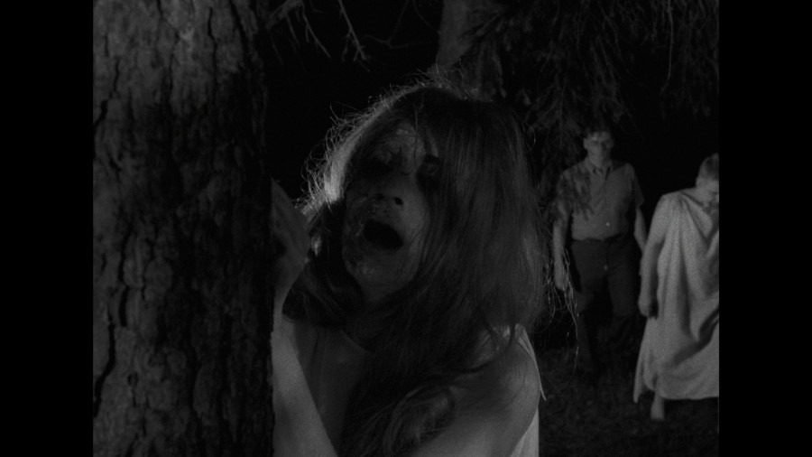 Screen capture from Night of the Living Dead