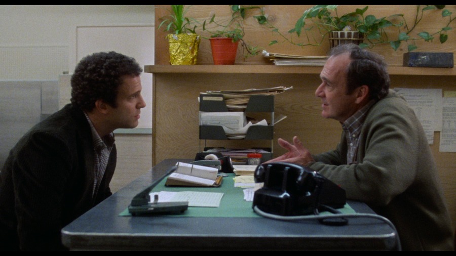 Screen capture from Lost in America