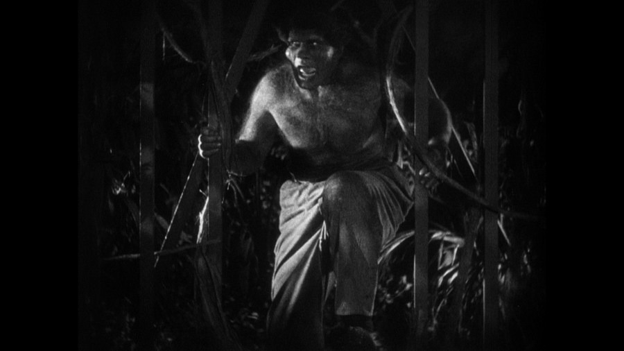 Screen capture from Island of Lost Souls