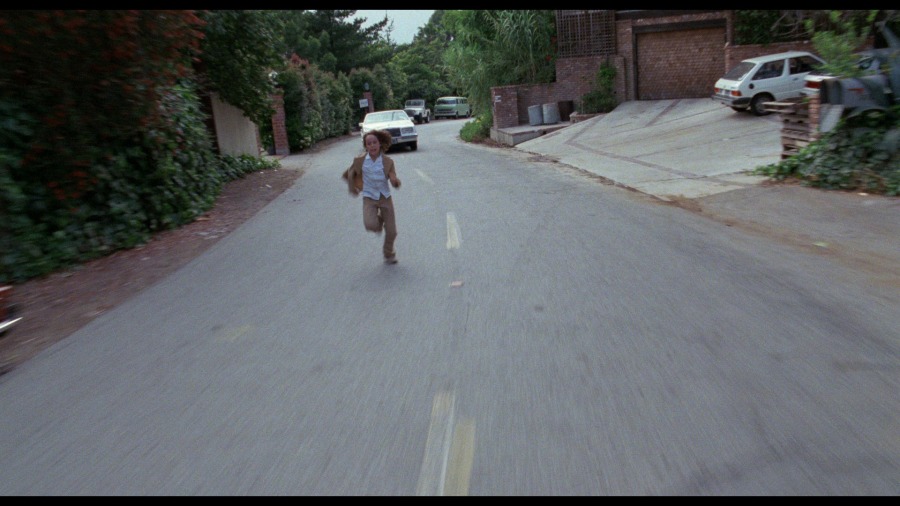 Screen capture from Love Streams