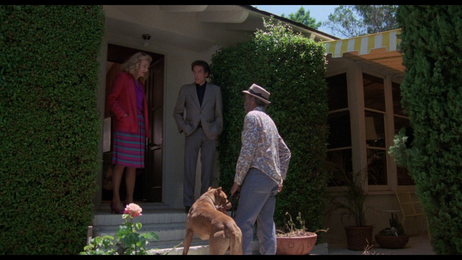 Screen capture from Love Streams