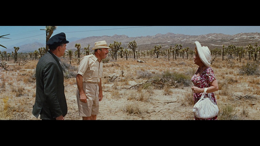 Screen capture from It's a Mad, Mad, Mad, Mad World