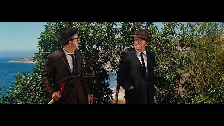 Screen capture from It's a Mad, Mad, Mad, Mad World