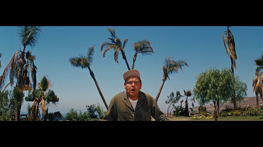 Screen capture from It's a Mad, Mad, Mad, Mad World