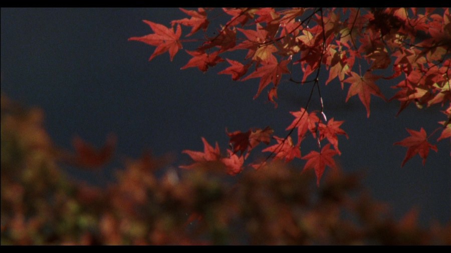 Screen capture from The Makioka Sisters