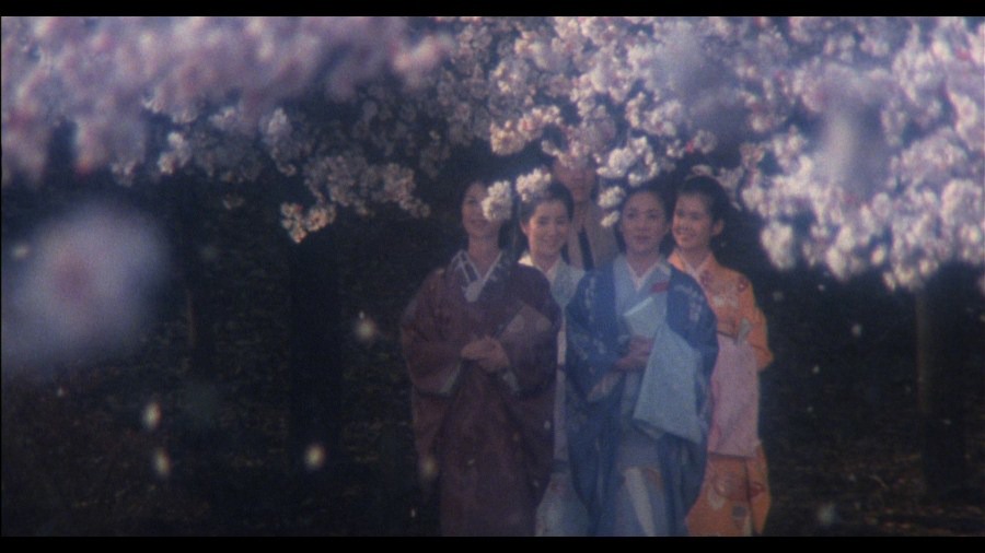 Screen capture from The Makioka Sisters