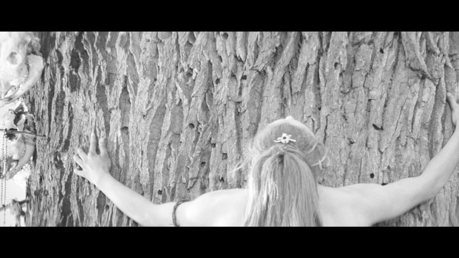 Screen capture from Marketa Lazarová