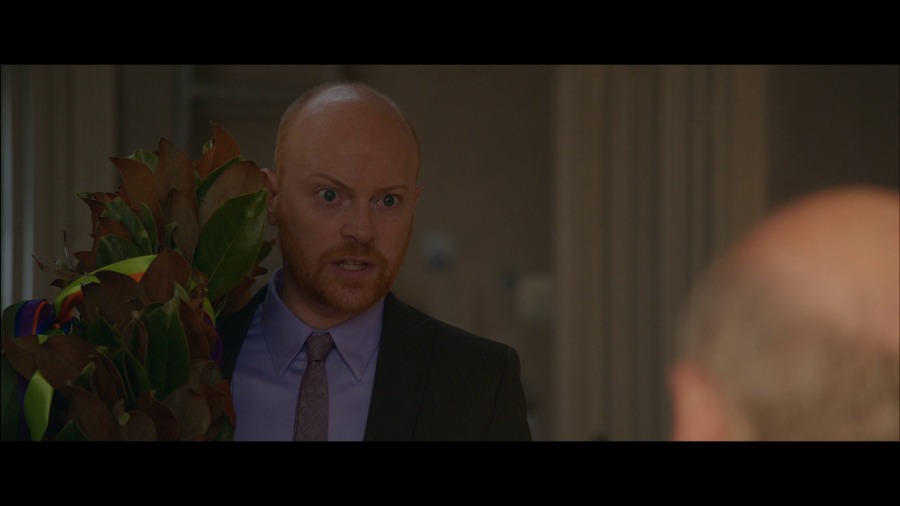 Screen capture from A Master Builder