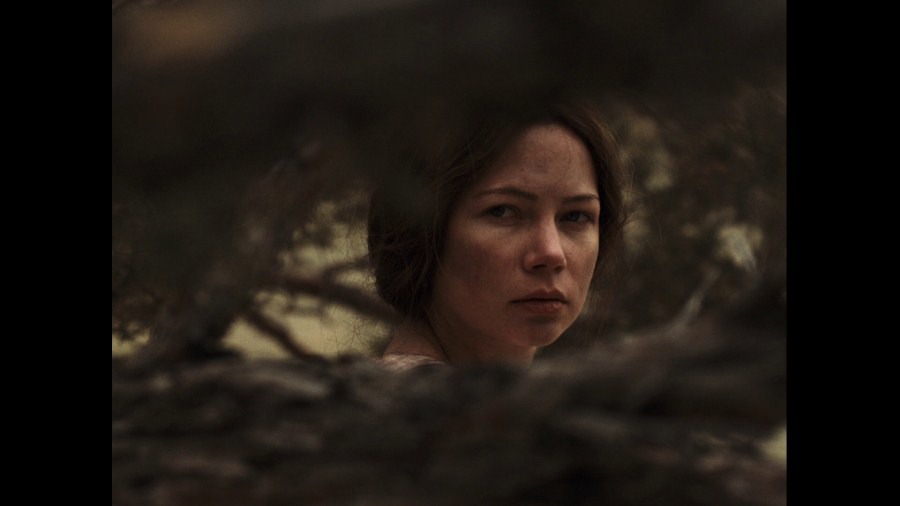 Screen capture from Meek's Cutoff