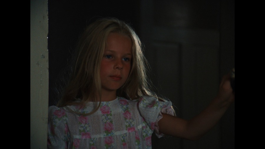Screen capture from The Merchant of Four Seasons