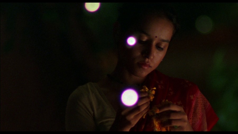 Screen capture from Monsoon Wedding