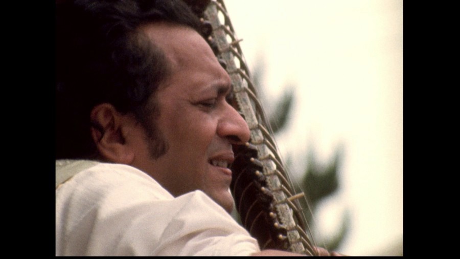 Screen capture from Monterey Pop
