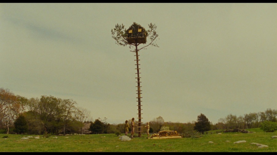 Screen capture from Moonrise Kingdom
