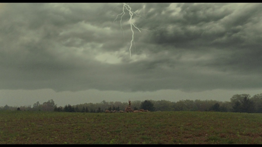 Screen capture from Moonrise Kingdom