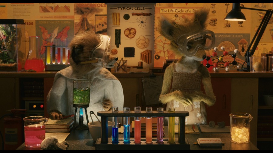 Screen capture from Fantastic Mr. Fox