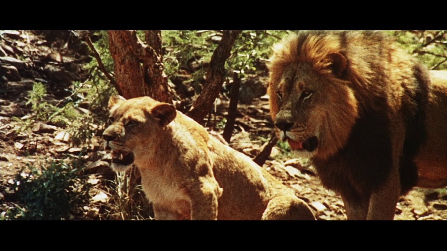 Screen capture from The Naked Prey