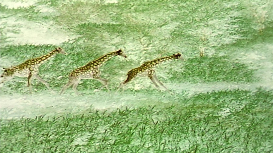 Screen capture from Naqoyqatsi