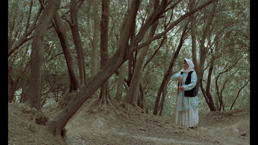 Screen capture from The Koker Trilogy