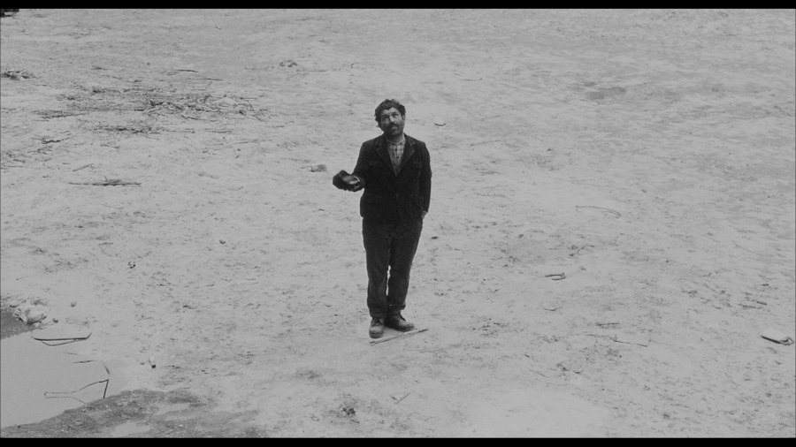 Screen capture from The Organizer