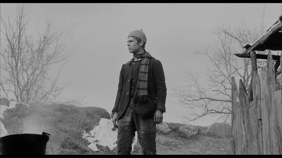 Screen capture from The Organizer