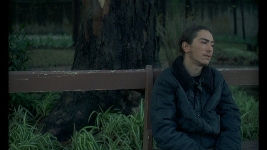 Screen capture from Ossos