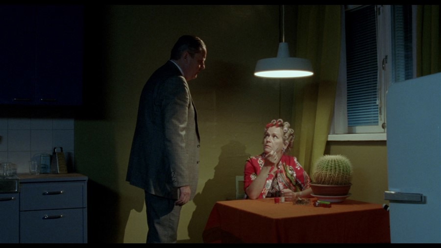 Screen capture from The Other Side of Hope