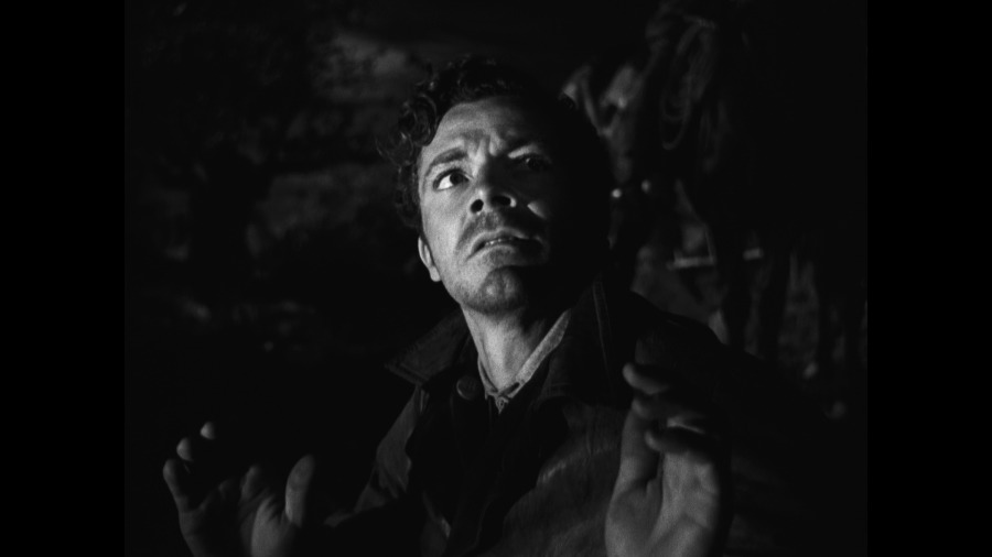 Screen capture from The Ox-Bow Incident