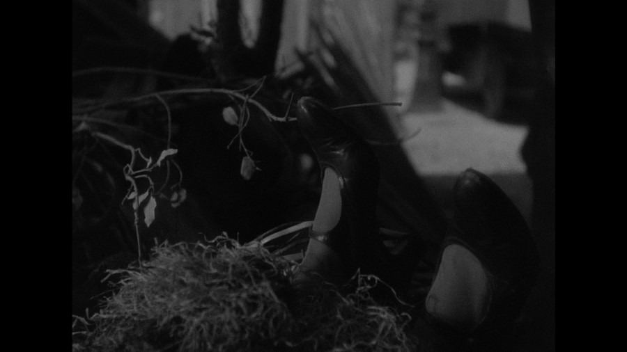 Screen capture from Panique